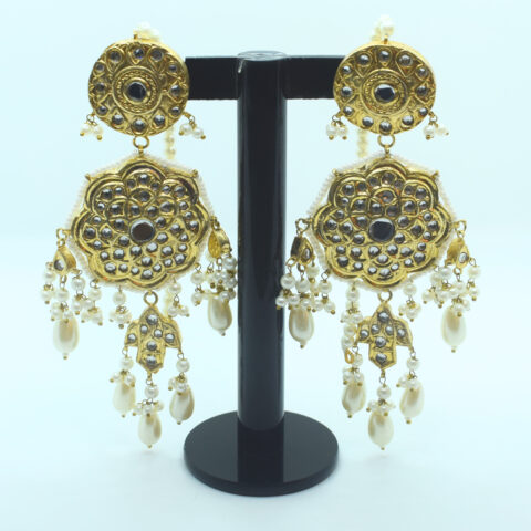 Elegant Kundan Earrings & Tika